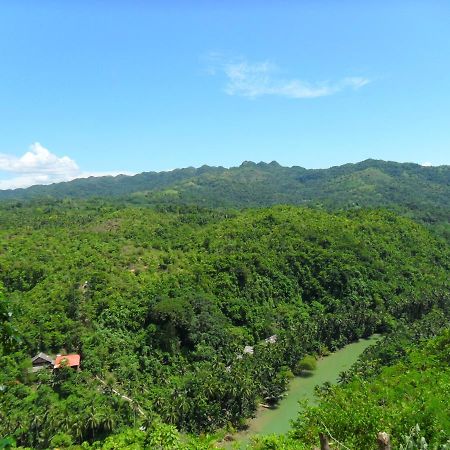 Hotel Nuts Huts Loboc Exterior foto