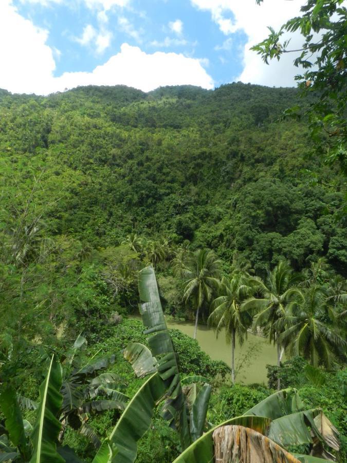 Hotel Nuts Huts Loboc Exterior foto