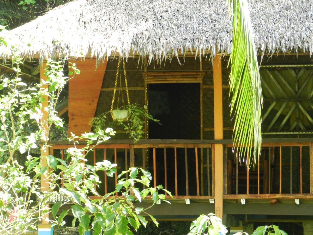 Hotel Nuts Huts Loboc Exterior foto