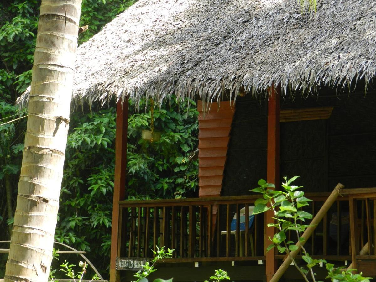 Hotel Nuts Huts Loboc Exterior foto