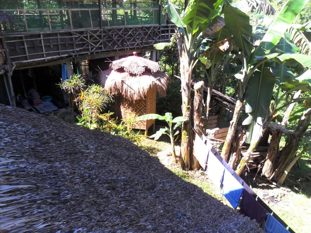 Hotel Nuts Huts Loboc Exterior foto