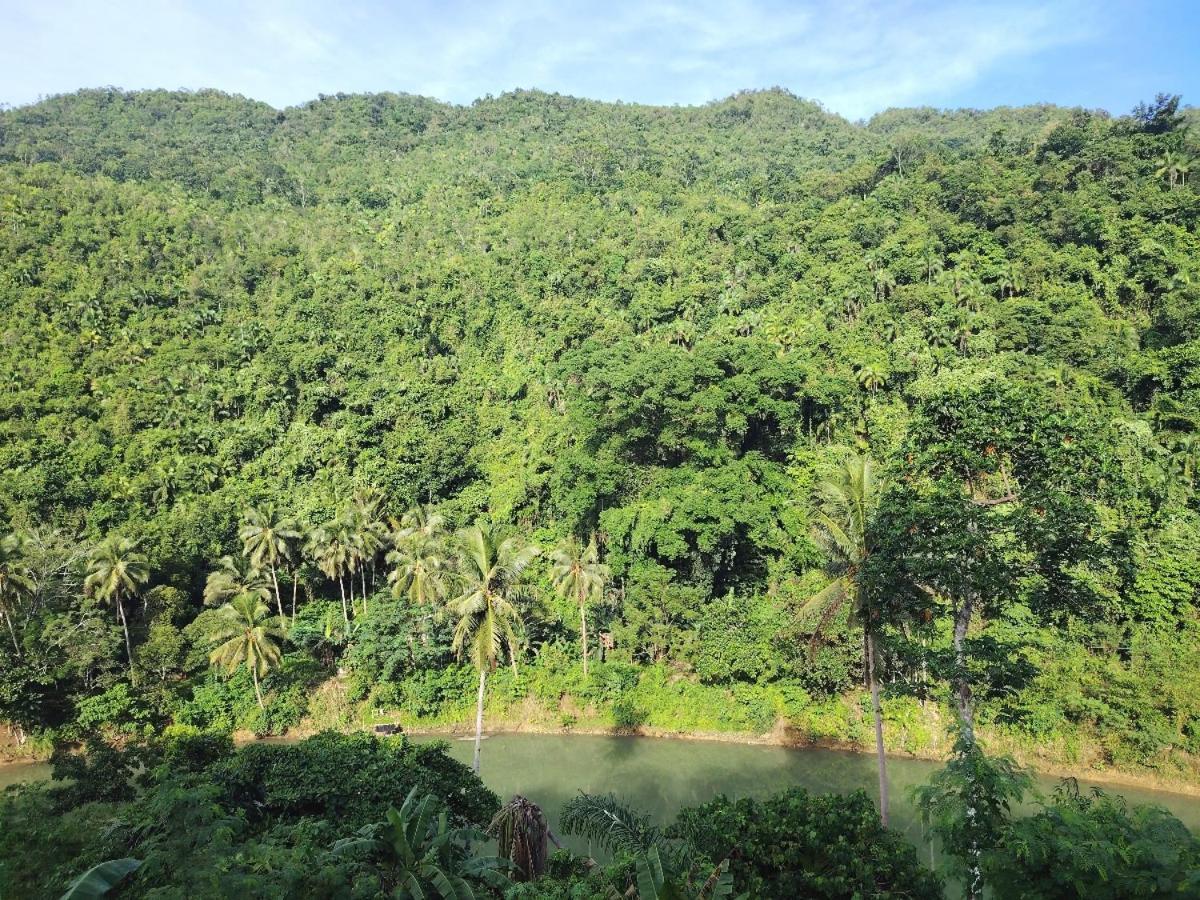 Hotel Nuts Huts Loboc Exterior foto