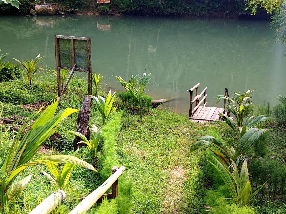 Hotel Nuts Huts Loboc Exterior foto