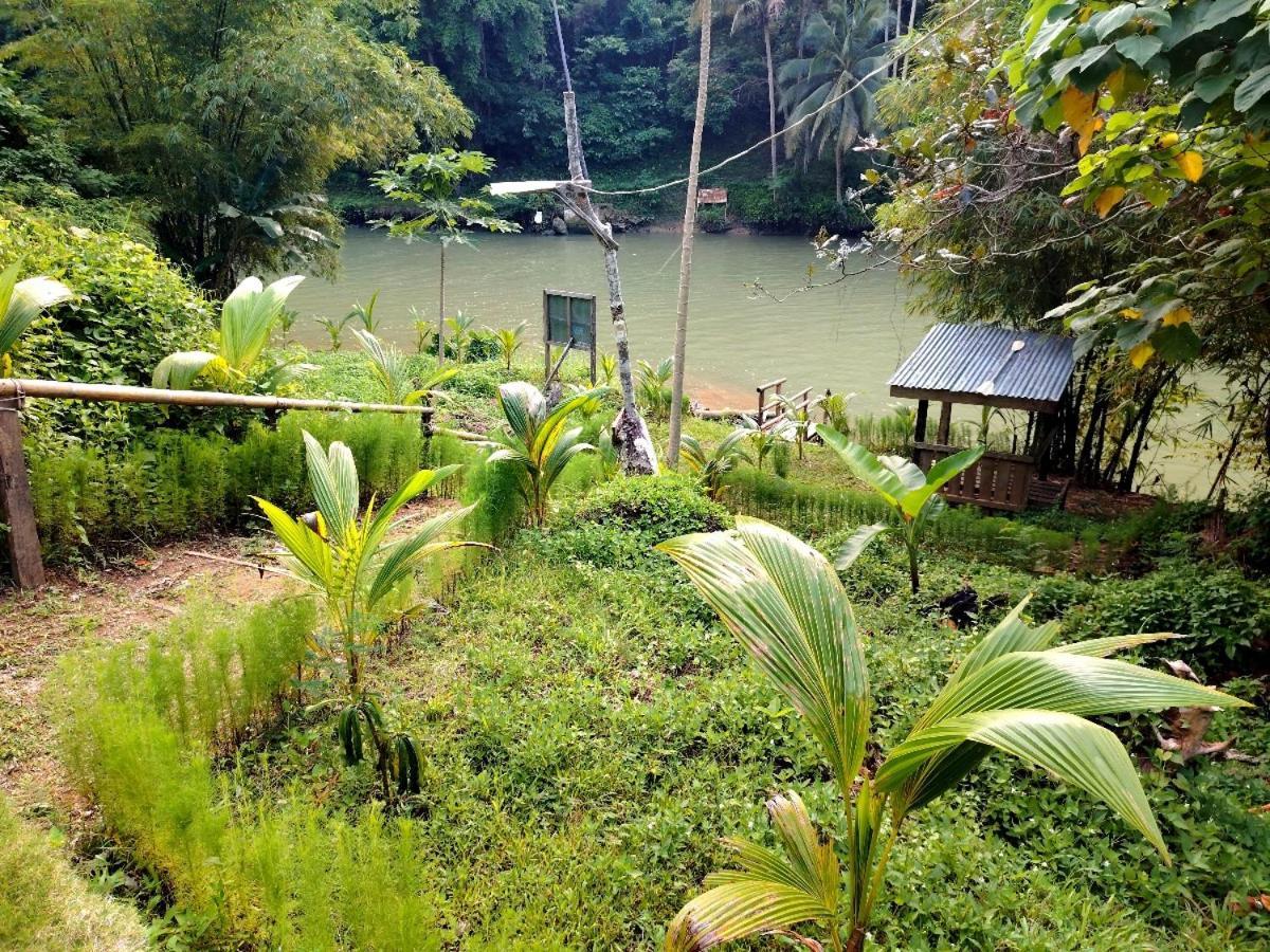 Hotel Nuts Huts Loboc Exterior foto