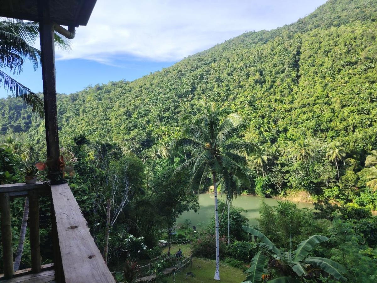 Hotel Nuts Huts Loboc Exterior foto