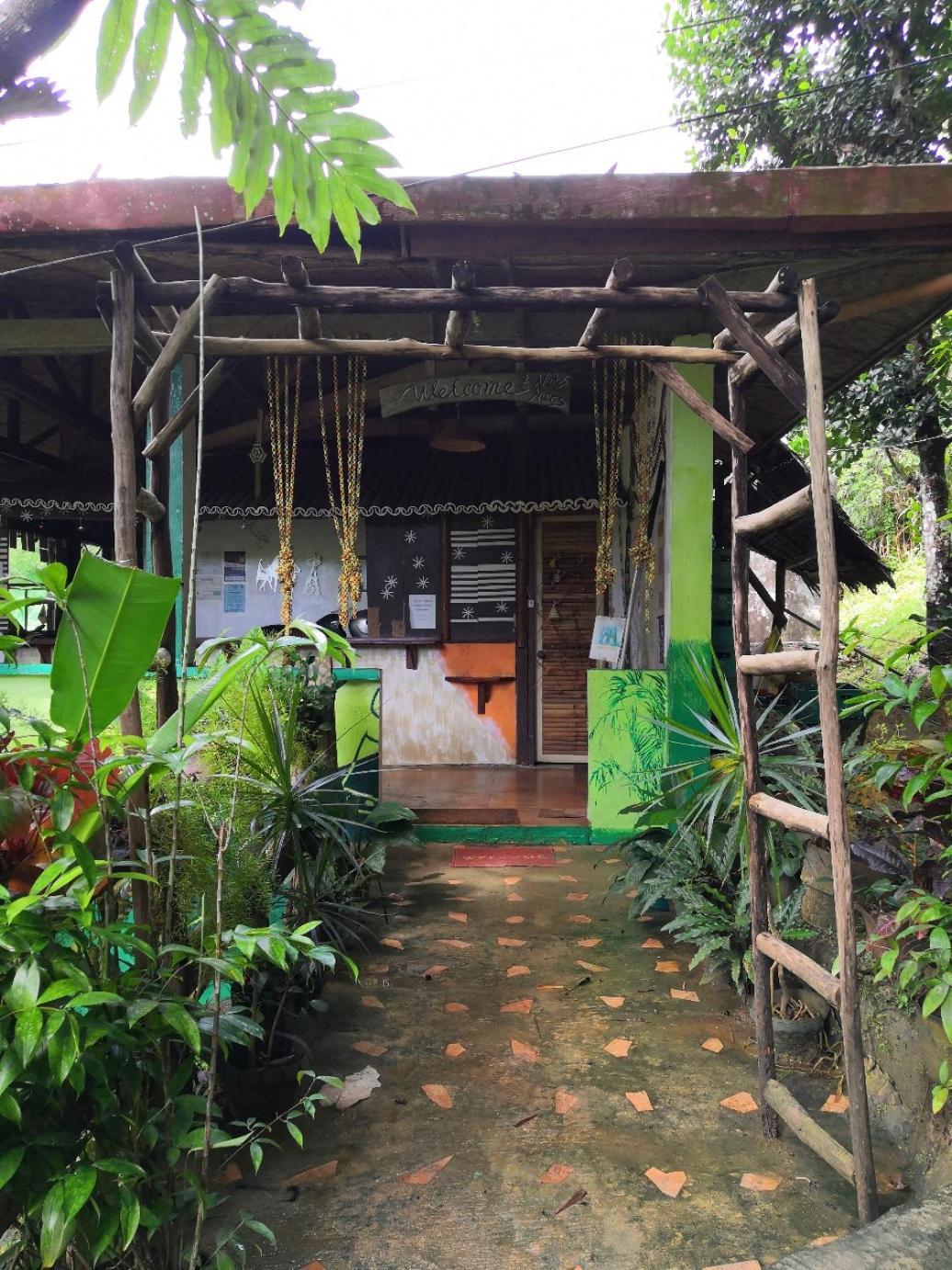 Hotel Nuts Huts Loboc Exterior foto