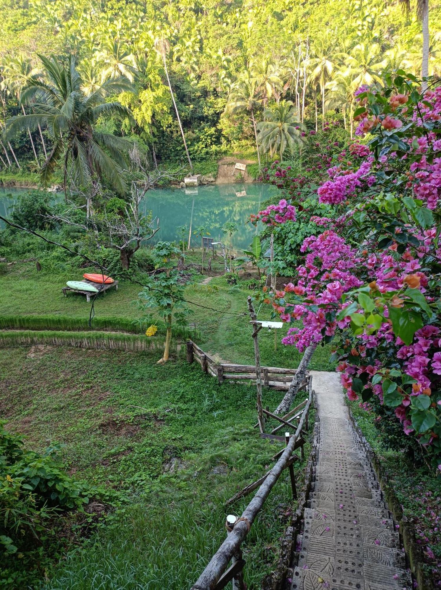 Hotel Nuts Huts Loboc Exterior foto