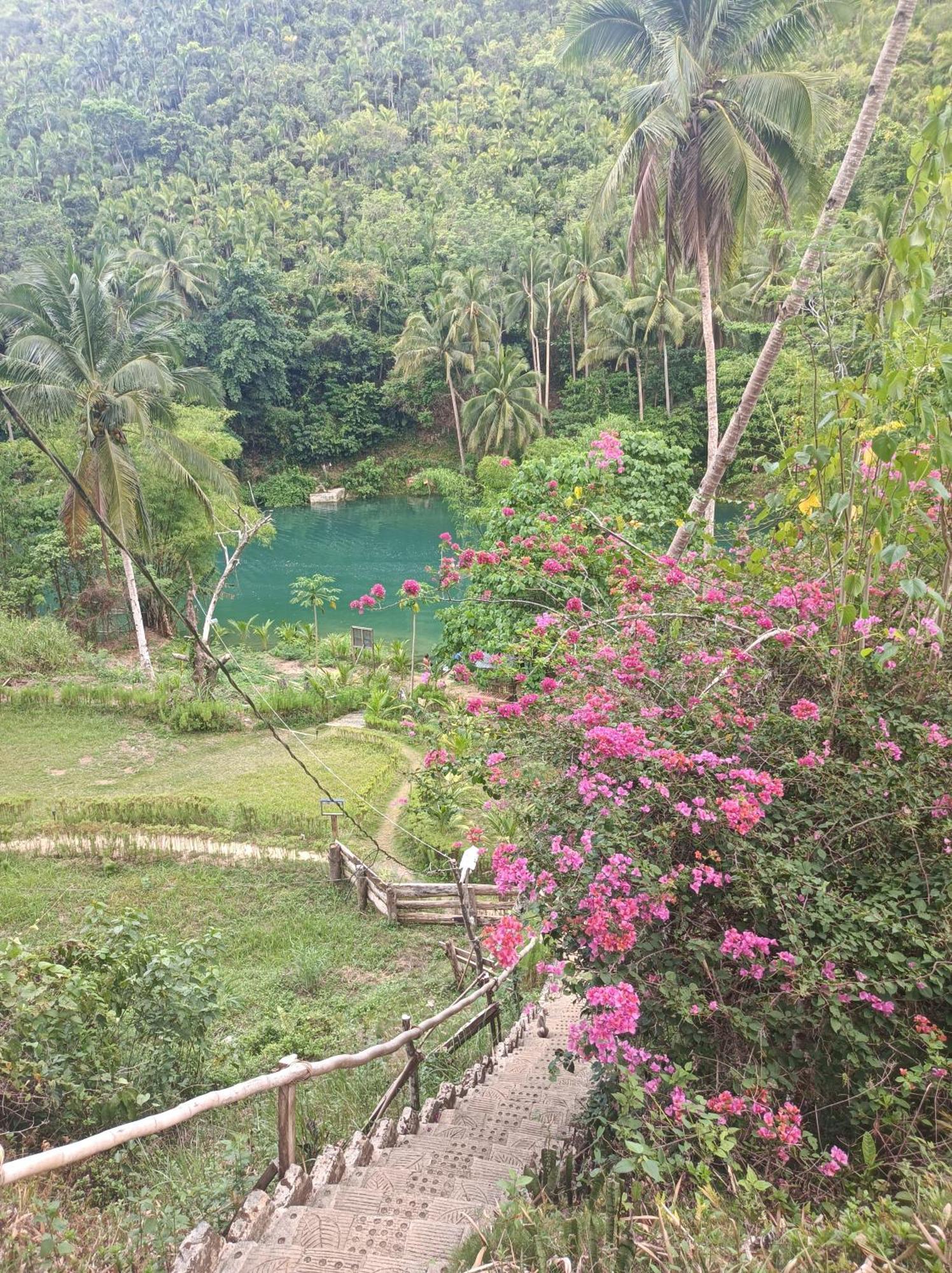 Hotel Nuts Huts Loboc Exterior foto